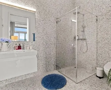 Large Luxury Business Penthouse Near Main Station Zurich