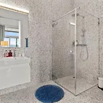 Old Luxury Business Penthouse Near Main Station Zurich
